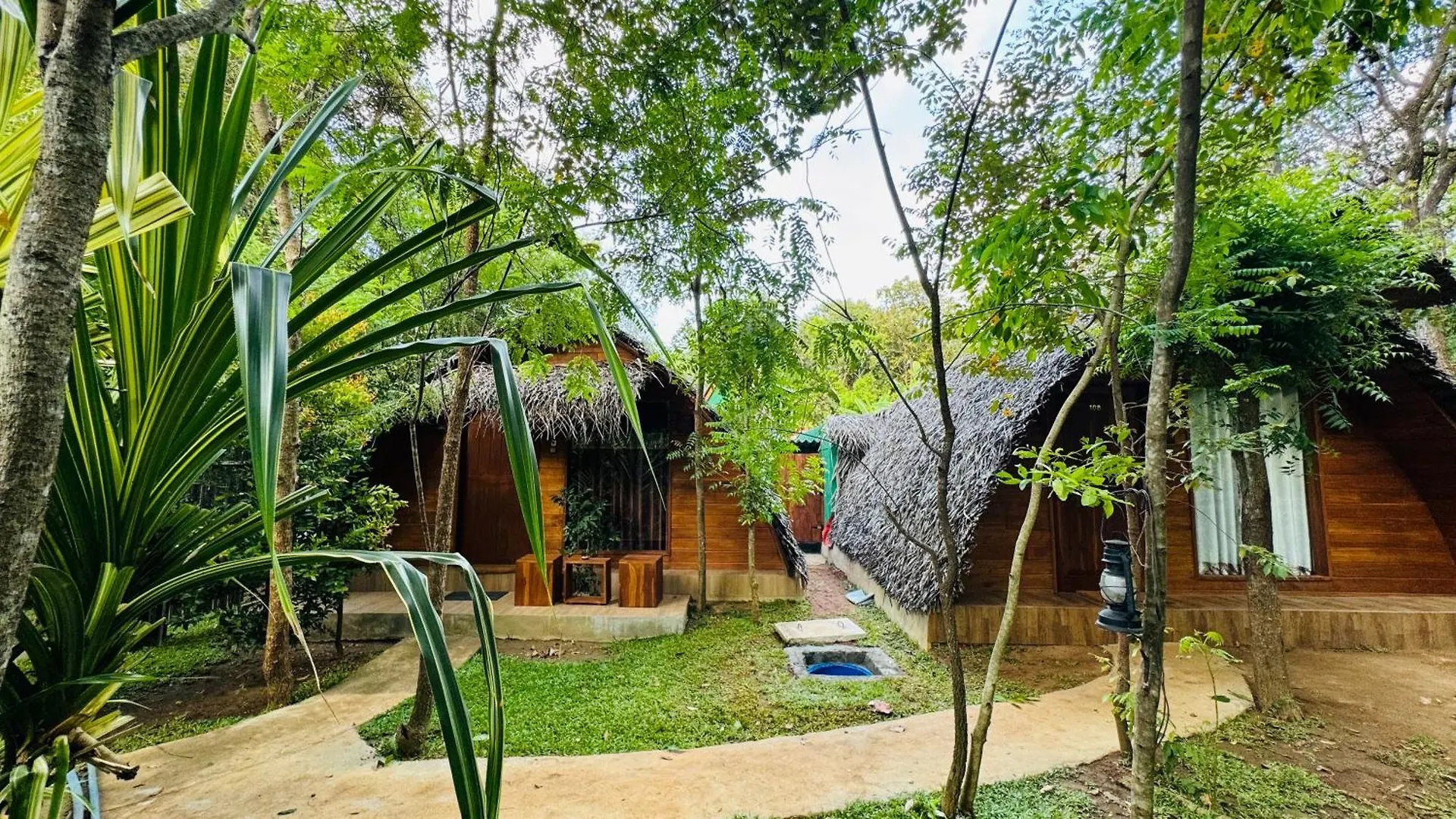 Hotel Palmyra Nature Resort Sigiriya