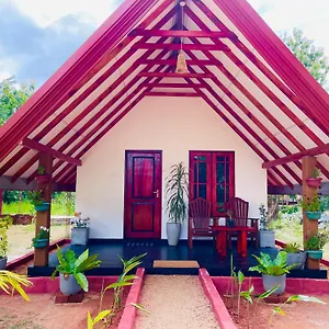 Sigiri Enaya Bed & Breakfast